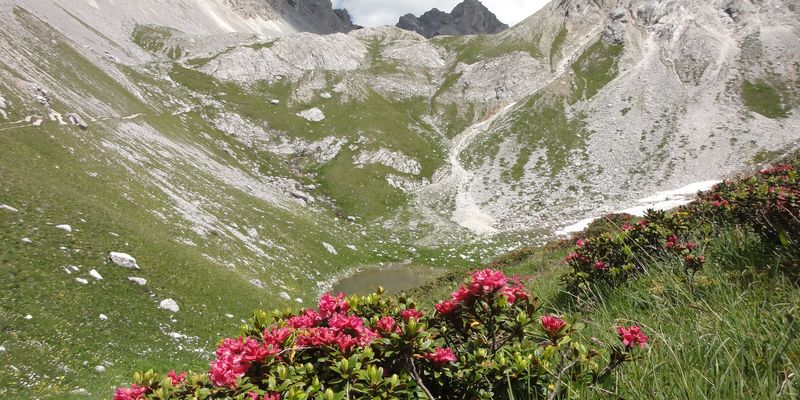 Escursione giornaliera al Passo delle Selle